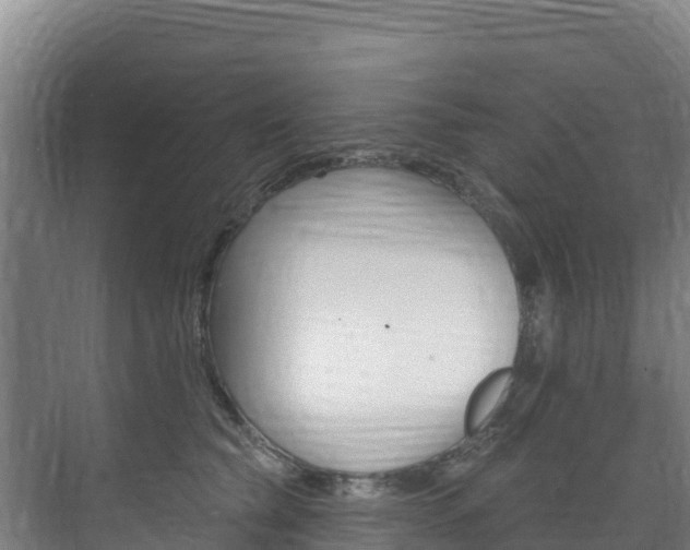 X0000073710565200608031043