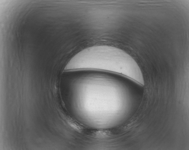 X0000073710566200608031043