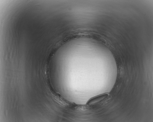 X0000073710567200608031043