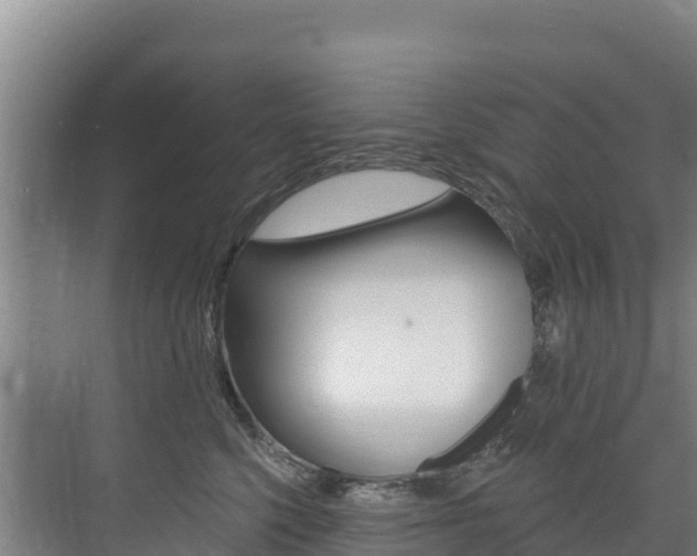 X0000073710568200608031043