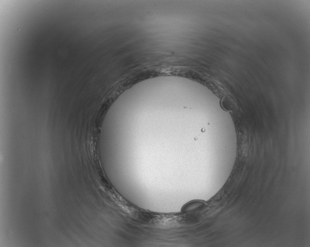 X0000073710569200608031043