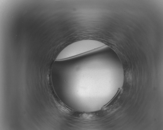 X0000073710570200608031043