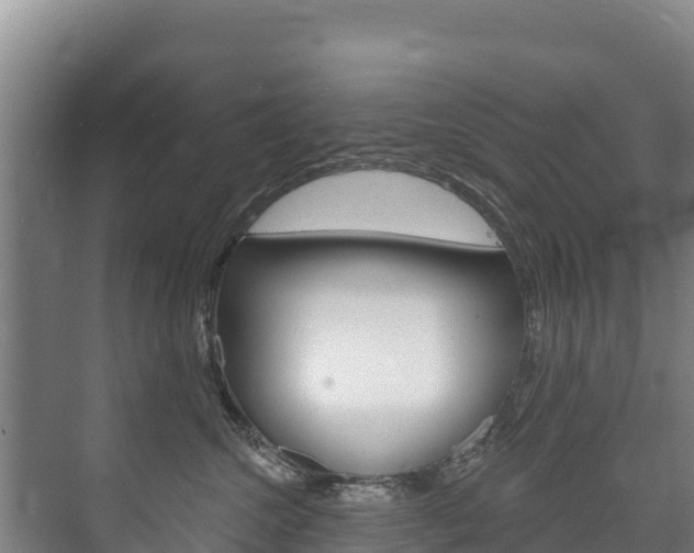 X0000073710572200608031043