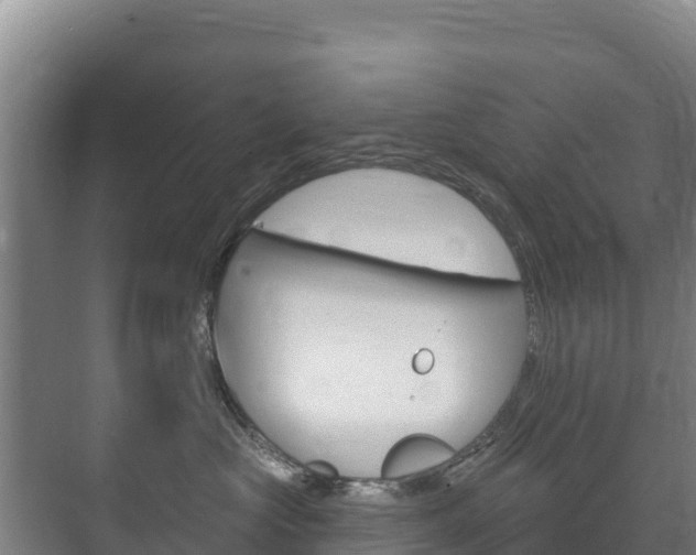 X0000073710573200608031043