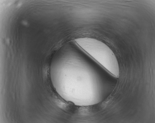 X0000073710574200608031043