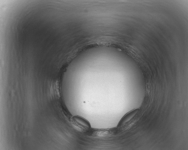 X0000073710575200608031043