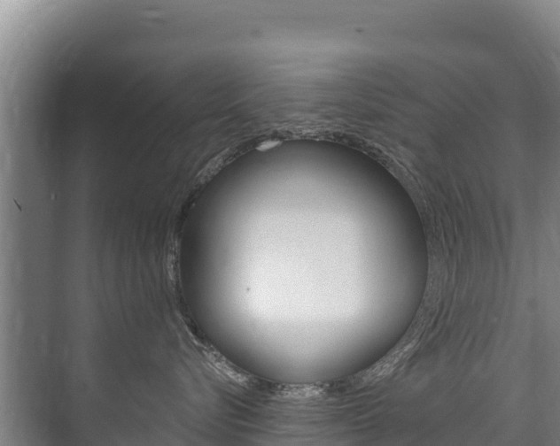 X0000073710576200608031043