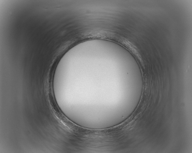 X0000073710578200608031043