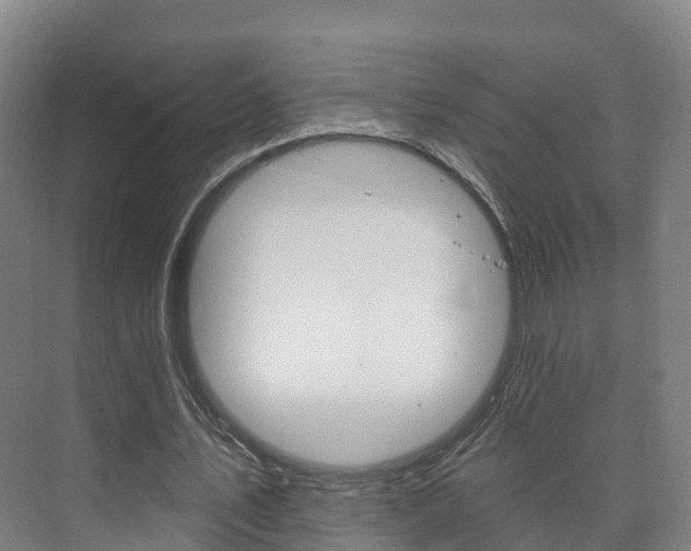 X0000073710579200608031043