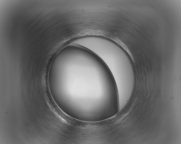 X0000073710581200608031043