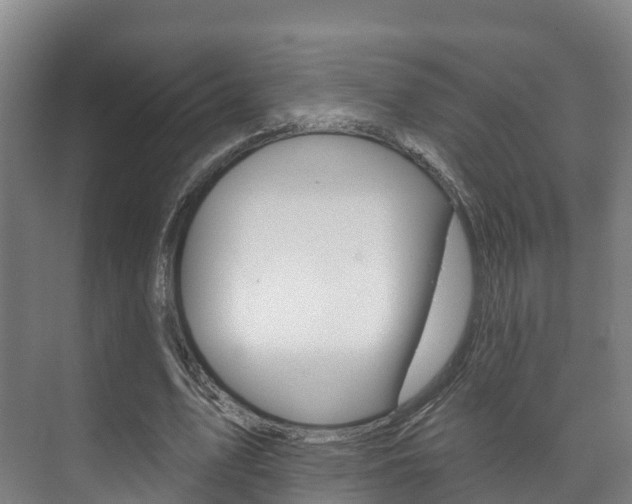 X0000073710583200608031043