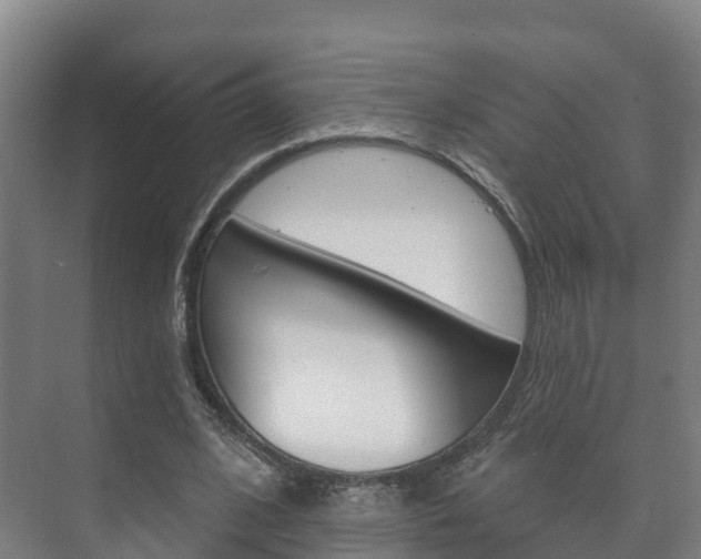 X0000073710584200608031043