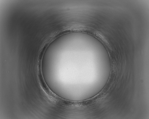 X0000073710586200608031042