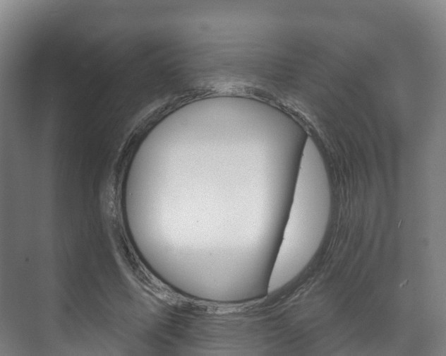 X0000073710587200608031042