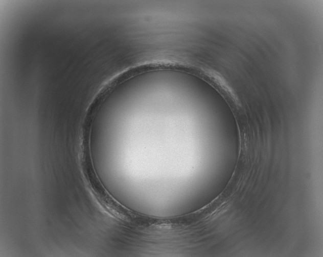 X0000073710588200608031042