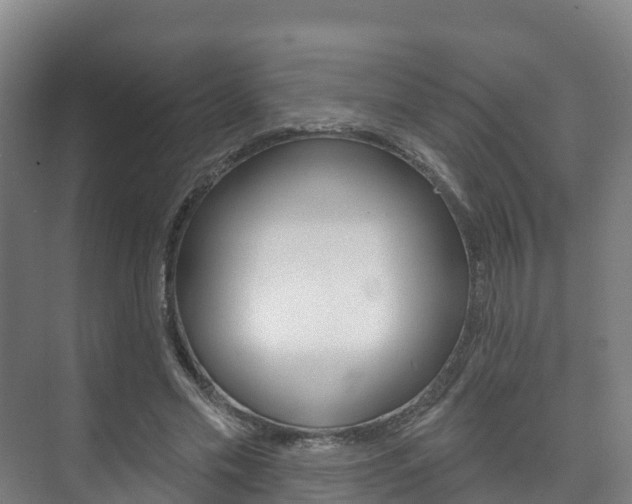 X0000073710589200608031042