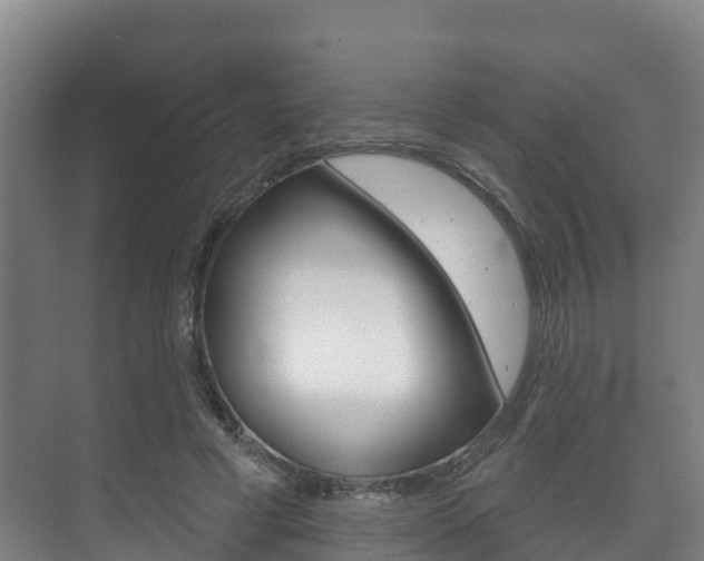 X0000073710593200608031042