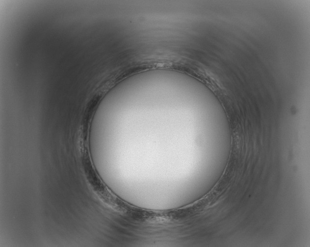 X0000073710594200608031042