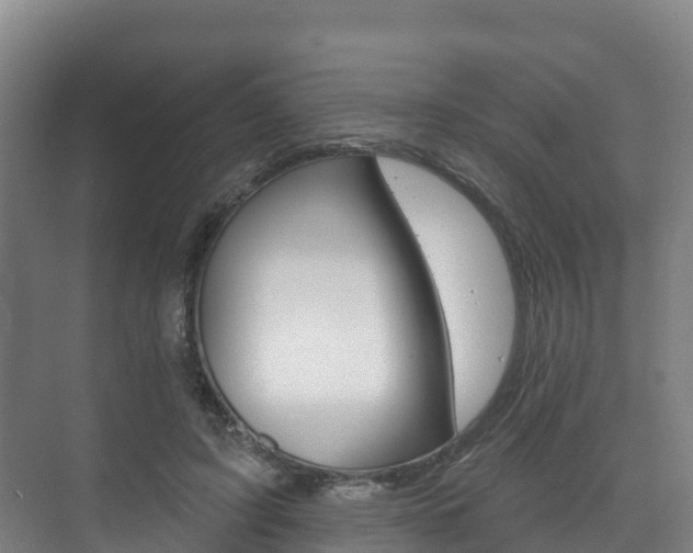 X0000073710595200608031042