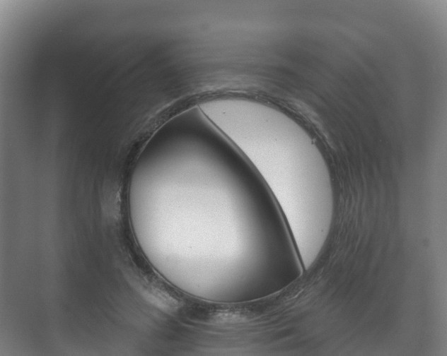 X0000073710596200608031042