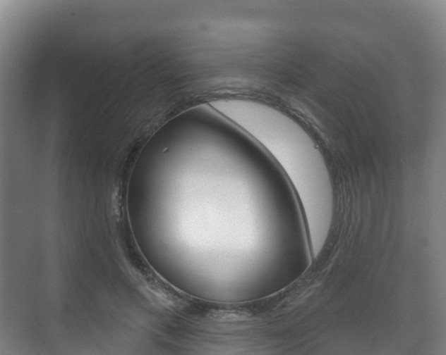 X0000073710597200608031042