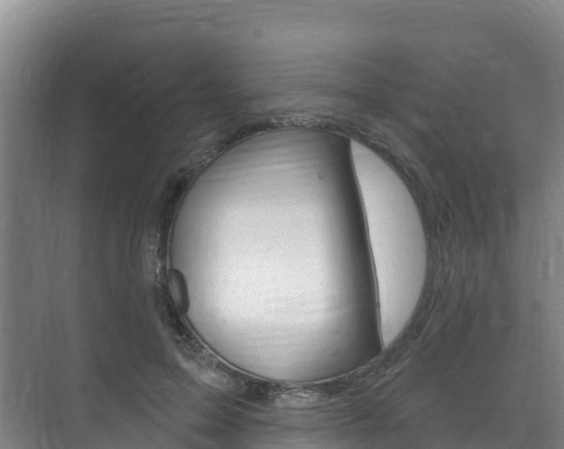 X0000073710599200608031042