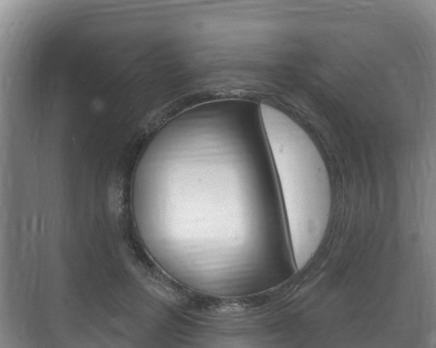 X0000073710600200608031042