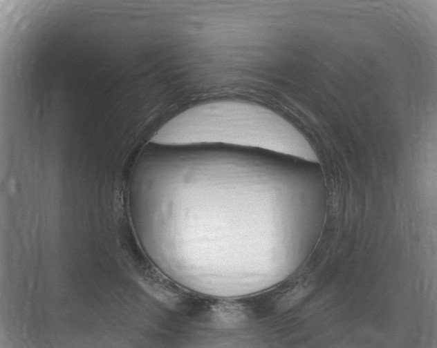 X0000073710603200608031042