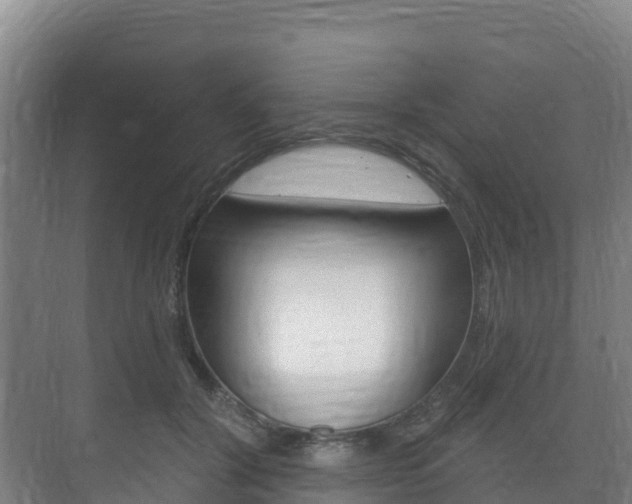 X0000073710604200608031042