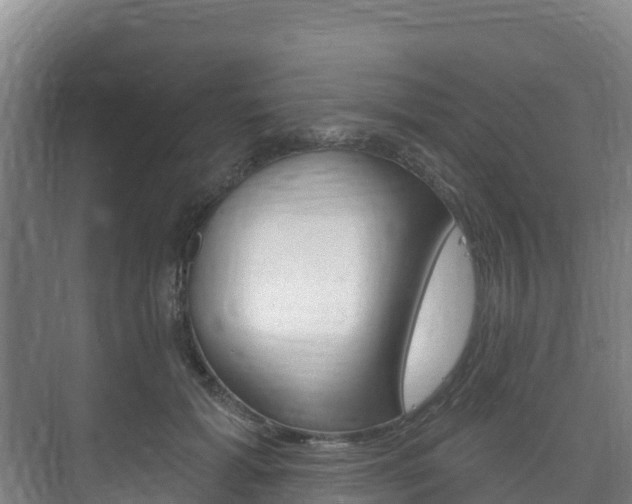 X0000073710605200608031042