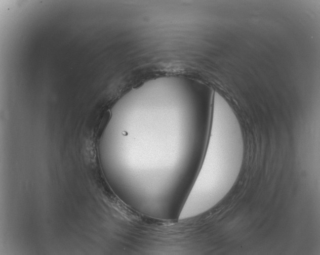 X0000073710609200608031042