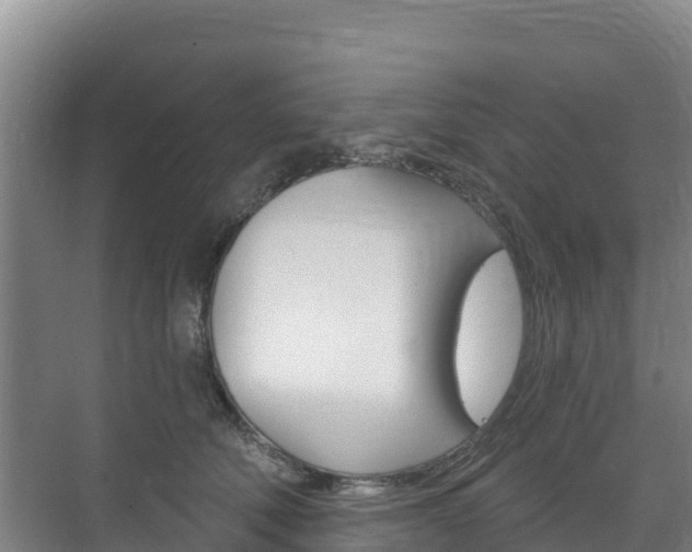 X0000073710610200608031042