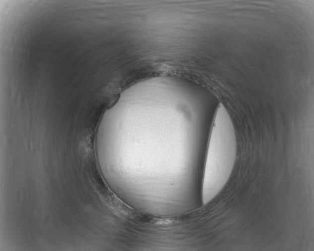 X0000073710611200608031042