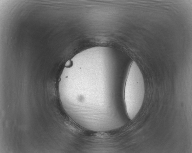 X0000073710612200608031042