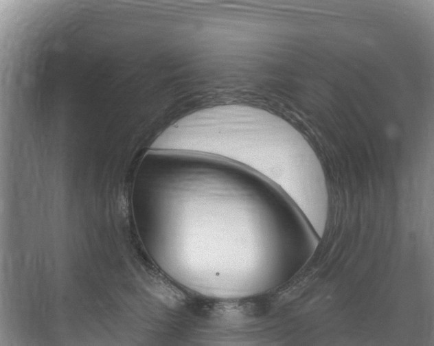 X0000073710613200608031042