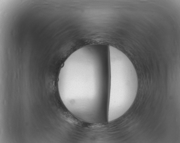 X0000073710615200608031042