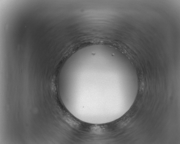 X0000073710616200608031042