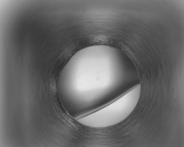 X0000073710617200608031042