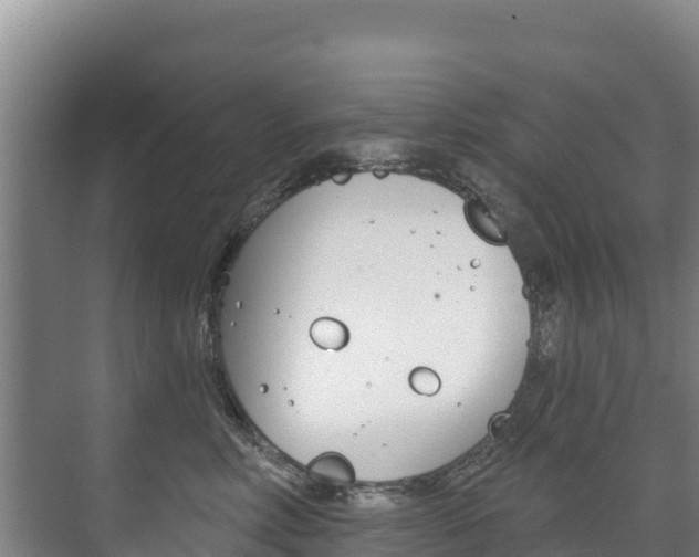 X0000073710618200608031042