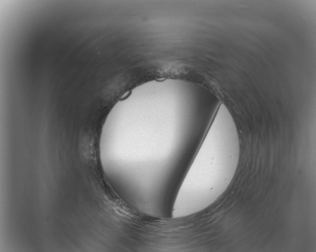 X0000073710619200608031042