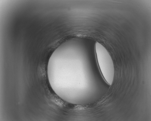 X0000073710620200608031042