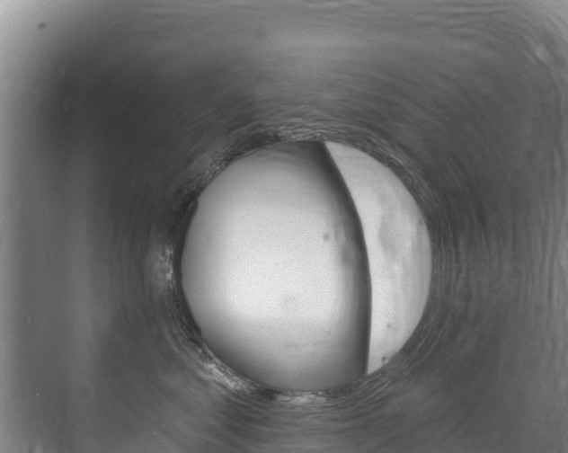 X0000073710621200608031042