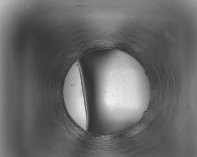 X0000073710624200608031042