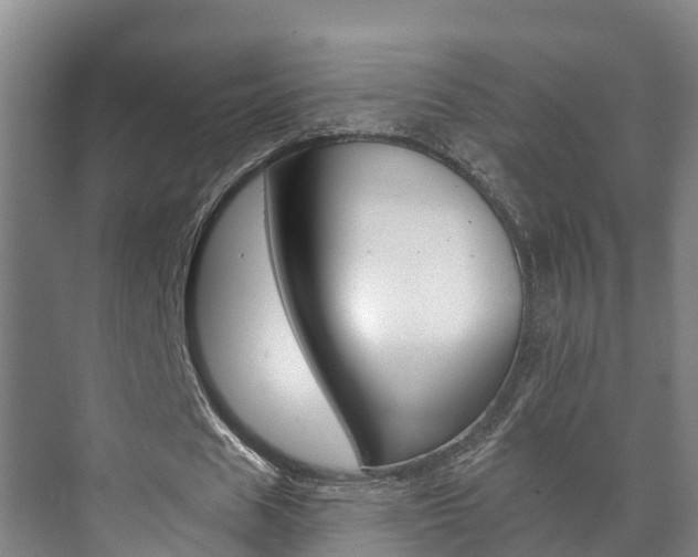 X0000073710625200608031041