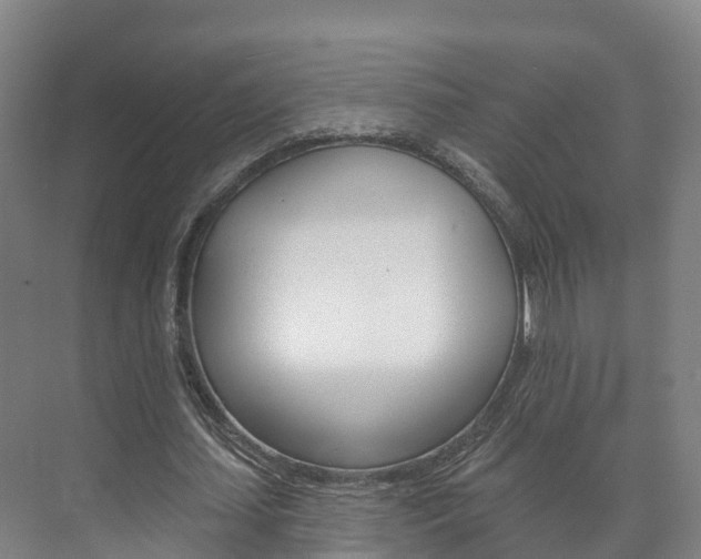 X0000073710627200608031041