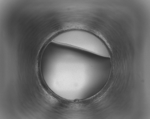 X0000073710629200608031041