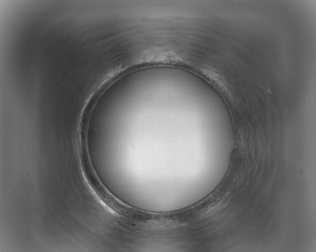 X0000073710630200608031041