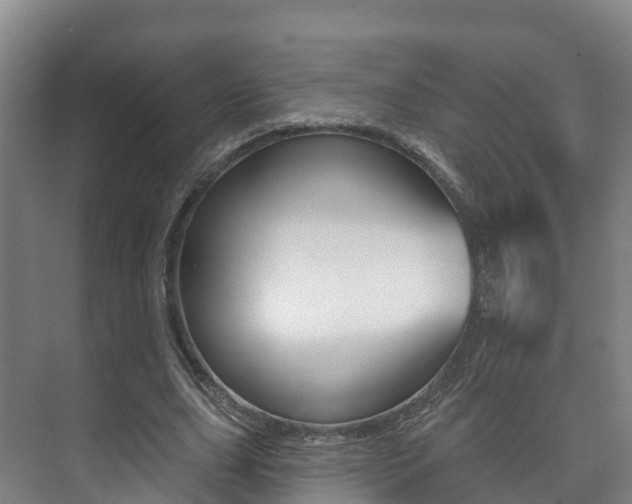 X0000073710631200608031041