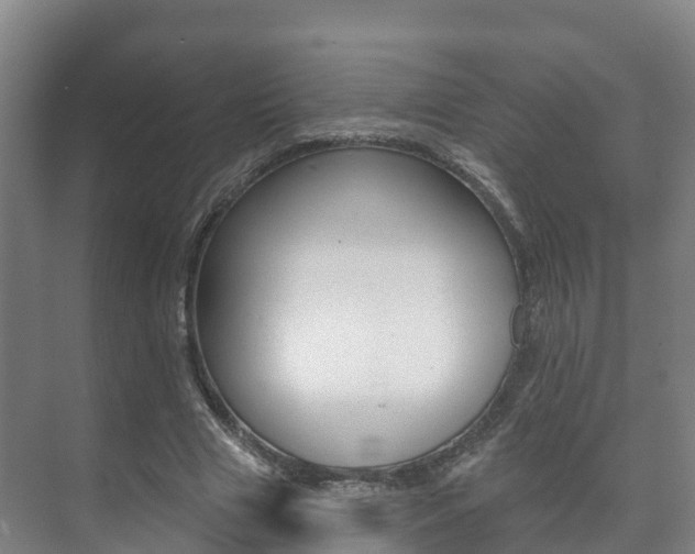 X0000073710633200608031041