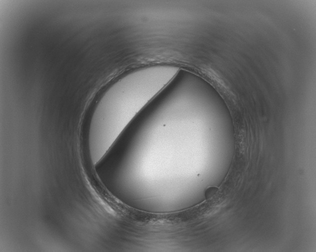 X0000073710634200608031041